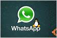 Qual o melhor cliente do WhatsApp para Linux